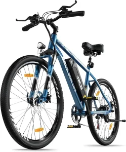 Bicicleta eléctrica RCB